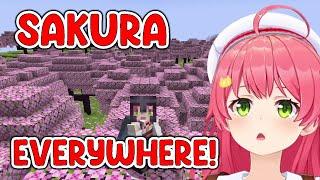 Miko finds a rare biome filled with Sakura everywhere