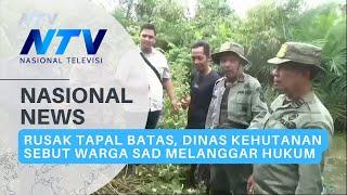 RUSAK TAPAL BATAS DINAS KEHUTANAN SEBUT WARGA SAD MELANGGAR HUKUM