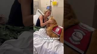 This dog helped a girl who was just diagnosed with cancer ️