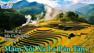Mâm Xôi La Pán Tẩn Rice Tray Viewpoint I Mù Căng Chải I Yên Bái I Việt Nam I Thang Vu
