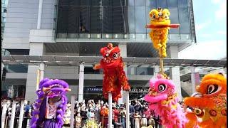 2023-Feb-1#香港中國農曆新年 醒獅表演#HongKongChineseLunarNewYear #LionDance Performance @ Citygate Outlets 東薈城