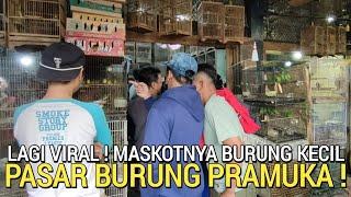 MULAI 10RB AN  KIOS MASKOTNYA MASTERAN PASAR BURUNG PRAMUKA