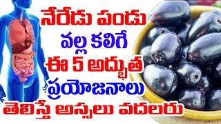 నేరేడు పండు వల్ల ప్రయోజనాలుJamun Fruit Health BenefitsBenefits with Neredu Pandu 