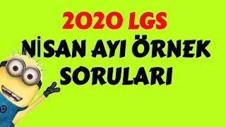 2020 LGS NİSAN AYI ÖRNEK SORULARINI TAKTİKLERLE ÇÖZDÜM...