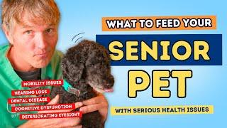 Senior Dog Simple Kitchen Foods for Senior Dog Health Problems