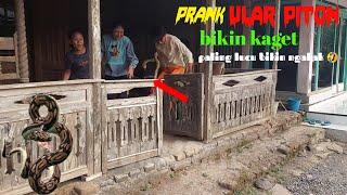 vidio lucu Prank Ular Piton Paling Extreme  Super Lucu Bikin ngakak funniest Snake Prank