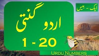 Urdu Counting 1-20  Urdu mein Ginti 1 se 20 tak  اردو میں گنتی ایک سے بیس  تک