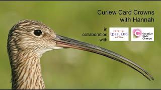 The Ornithorium How to Make a Curlew Card Crown by Hannah Postlethwaite