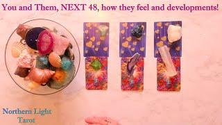 Pick a Card YOU AND THEM NEXT 48 How They Feel OMG its Intense Love tarot card reading