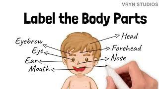 Label the Body Parts - A video for kids