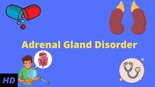 Adrenal Gland Disorder Everything You Need to Know