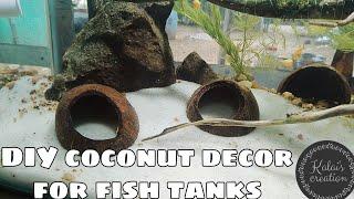 Diy coconut cave for fish tankswithout any investmentaquarium decor kalais creation