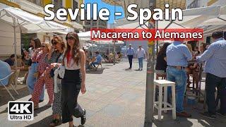 ️ Seville 4K Walk from Macarena to Alemanes  Virtual Walking Tour Spain