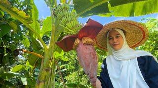 SEDAP BETUL JANTUNG PISANG MASAK MACAM NI  Banana flower recipe