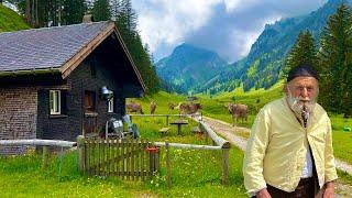 Life in a Swiss Alpine Village  We released thousands of cows in the mountains and green meadows