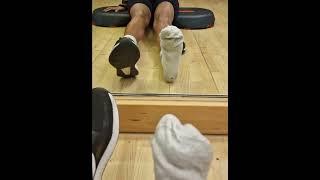 Stinky gym socks