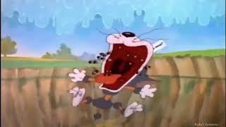 Tom and Jerry - Tom Scream Compilation