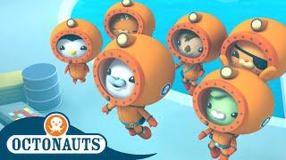 Octonauts - Team Ocean Research  Cartoons for Kids  Underwater Sea Education