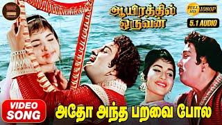 Adho Andha Paravai HD Video Song  MGR  Jayalalitha  TMS  MSV  Kannadasan  Aayirathil Oruvan