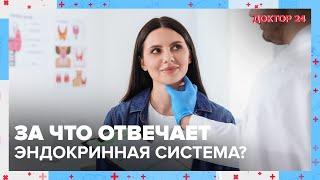 Как ЭНДОКРИННАЯ СИСТЕМА влияет на ЗДОРОВЬЕ?  Доктор 24