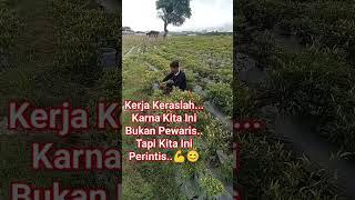 Ingatlah Semua ini Hanya Titipan Yg Bersifa Sementara.