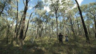 Key Biodiversity Areas Conservation in Action