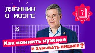 Когнитивные искажения Дубынин о том как сохраняется память