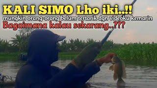 BAGAIMANA INI‼️ SPOT KAYA GINI KOK NGGAK DI SERANG Mancing Ikan Nila di Kali Simo