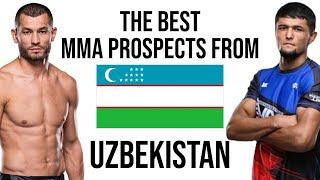 The Best MMA Prospects From Uzbekistan Uzbekistan Fighters the UFC Should Sign