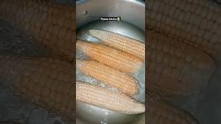 மக்காச்சோளம்corn benefits in tamil #@thenukarthik