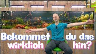 Welches Aquarium passt zu dir?  Ziele Möglichkeiten und Limitierungen  Videopodcast