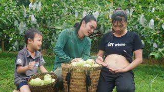 pregnant mother Harvesting the guava garden celebrating my beloved wifes birthday