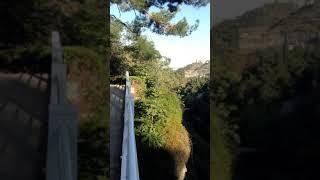 Georgia botanical garden waterfall  Georgia waterfall 2017  водопад в грузии