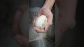 cách luộc trứng sao cho trứng ngon và sạch sẽ