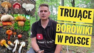 Trujące Borowiki w Polsce i wiele ciekawych gatunków oraz konkurs i spotkanie z widzami.