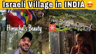 Israeli Village  of DharamkotIndia  Staying in Zostel Mcleodganj Himachal Pradesh