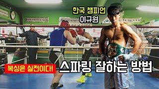 복싱 스파링 잘할 수 있는 방법 Boxing Sparring Best Tip