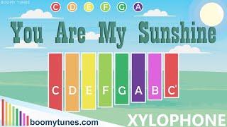 You are my Sunshine - XYLOPHONE Play Along