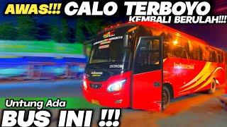 UJI NYALI DI TERMINAL TERBOYO DINI HARI.  Trip Report Bus Indonesia L7775UV Semarang-Surabaya. #1