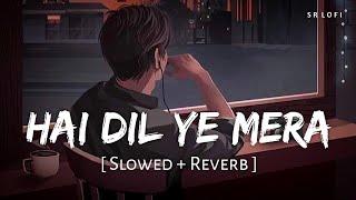 Hai Dil Ye Mera Slowed + Reverb  Arijit Singh  Hate Story 2  SR Lofi