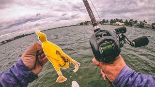 Saltwater Duck Lure Challenge + Giant Fish Destroy The Duck