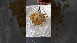 Gurme Patlamış Mısır  Gourmet Popcorn