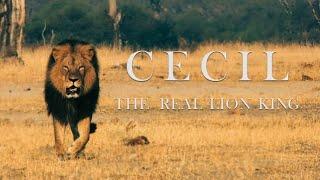 Cecil The Legacy of a King  animal planet full episode in hindi  documentary in hindi