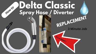 How to replace a Delta Classic Kitchen sink Spray Hose in 3 minutes EASY DIY