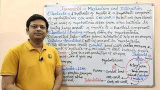 Antitubercular Drug Part-03 Isoniazid  Mechanism of Action of Isoniazid  Isoniazid  Anti TB