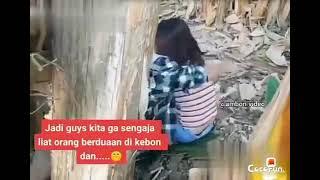 story WA#tragedi orang lagi berduaan di kebun