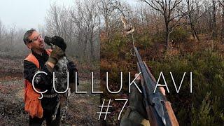 Mehmet Açıktuna Çatalca Çulluk Avı #episode7 #hunter #shuting #çullukavı #çatalca #setter #dji