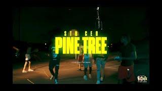 STB CEO - Pine Tree Freestyle Live Performance Directed x DJ Black Messiah