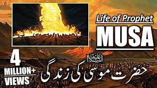 Hazrat Musa As Story in Urdu  Life of Prophet Musa  Qasas ul Anbiya in Urdu  IslamStudio