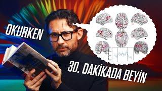 How does reading books affect our brain?